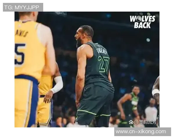 森林狼缺少戈贝尔篮下防守漏洞显著兰德尔护筐能力待提升